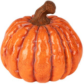 Pompoen - (Dt-255173)